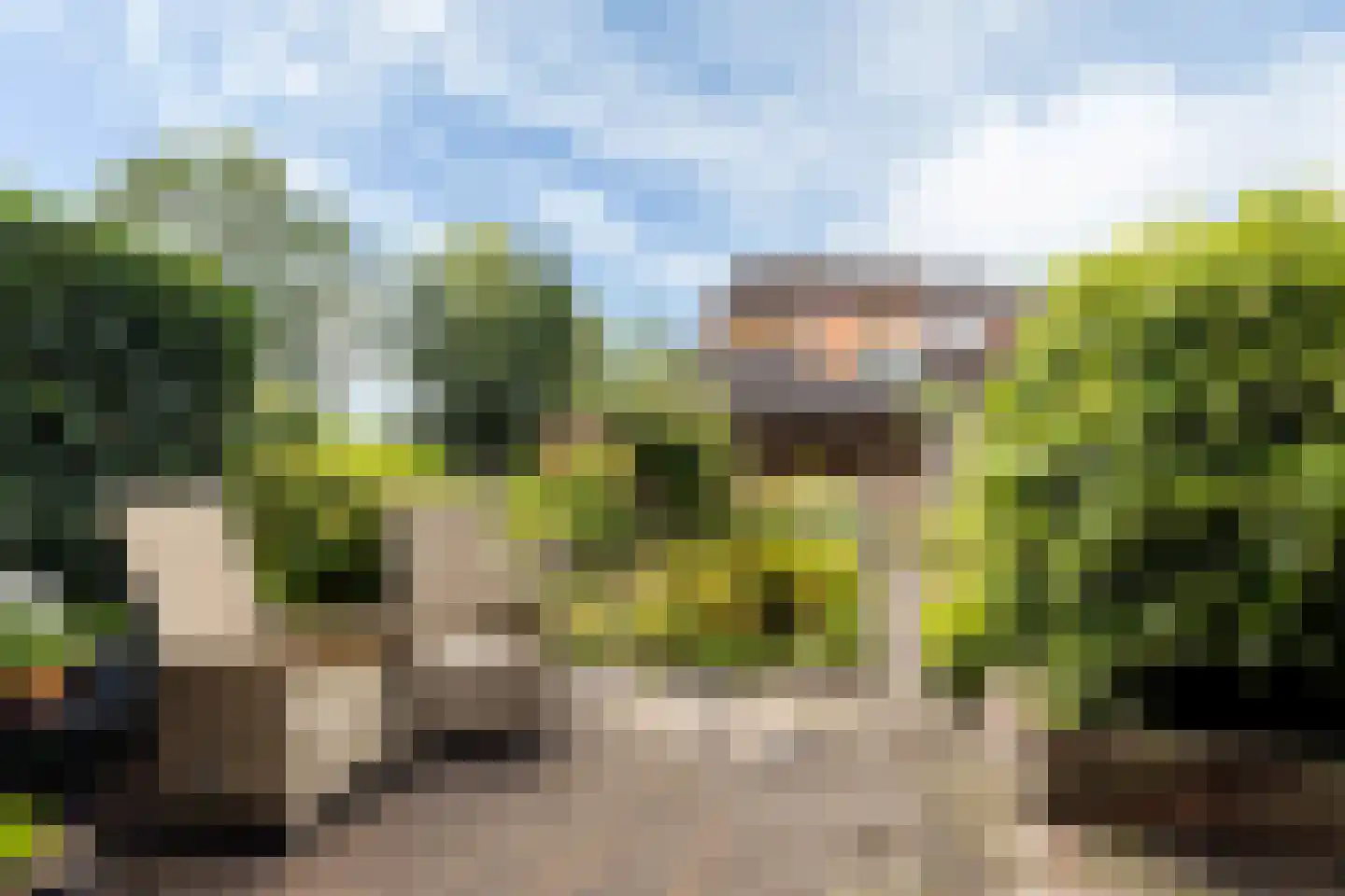 Zwenkgras 24 Leeuwarden thumbnail 36