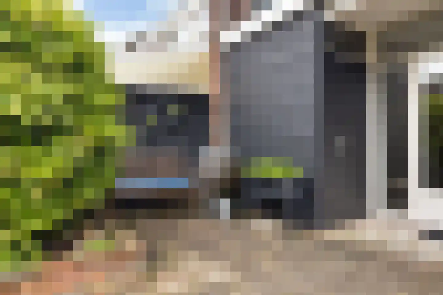 Zwenkgras 24 Leeuwarden thumbnail 37