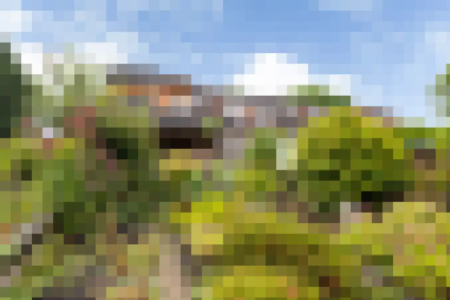 Zwenkgras 24 Leeuwarden thumbnail 38