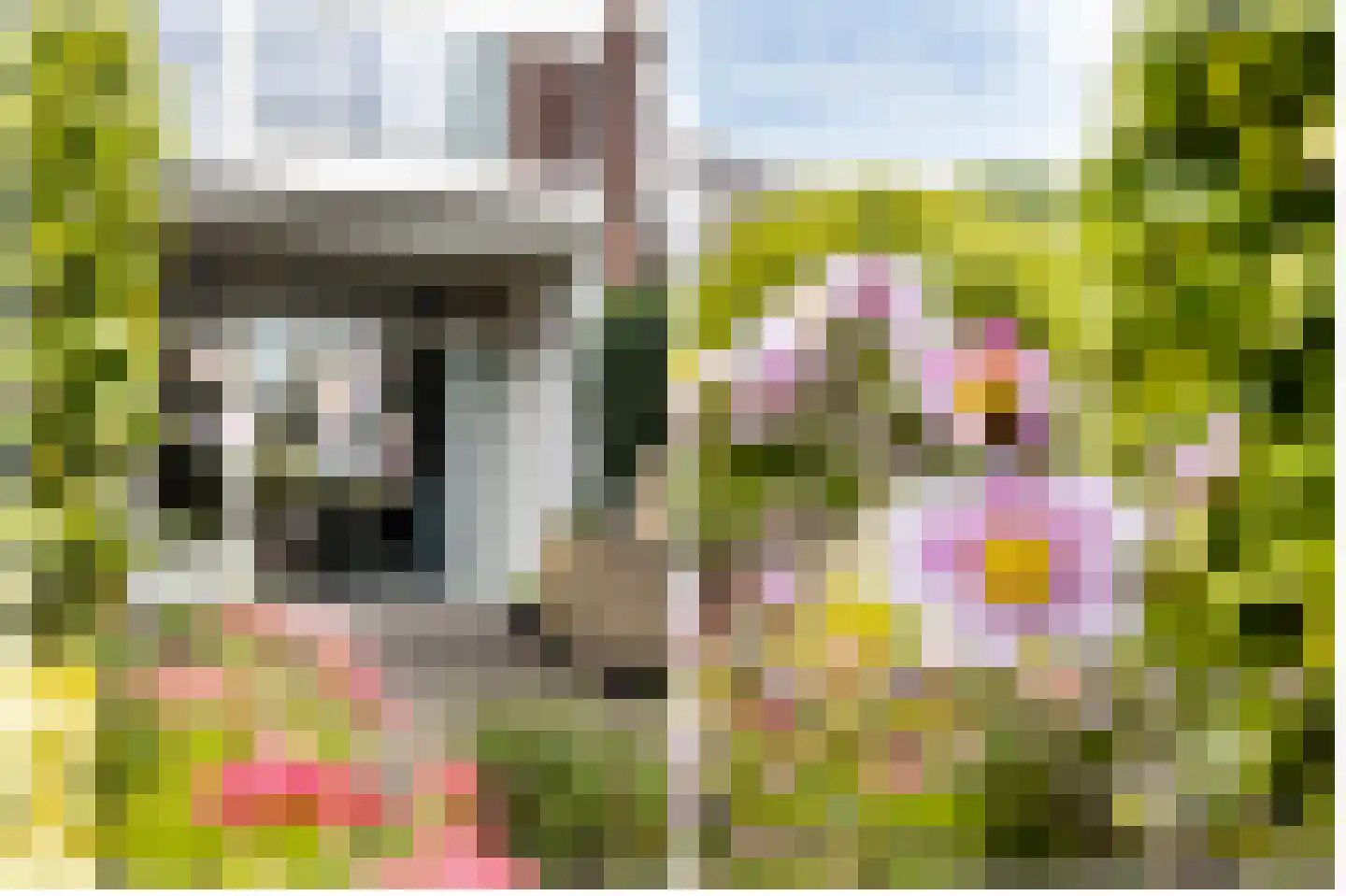 Zwenkgras 24 Leeuwarden thumbnail 39