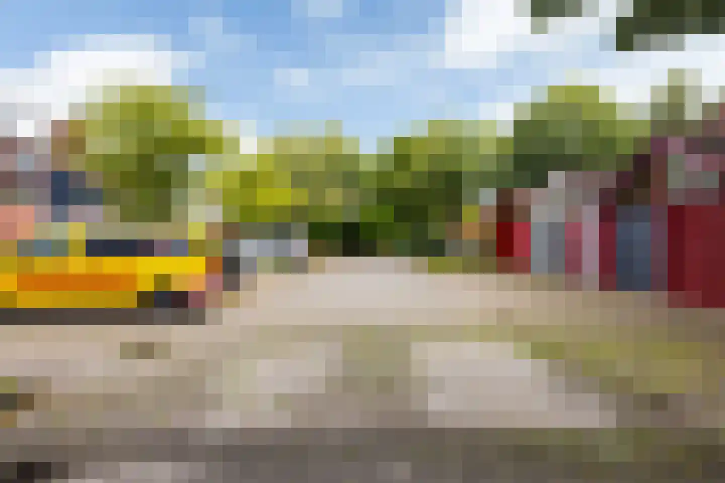 Zwenkgras 24 Leeuwarden thumbnail 40