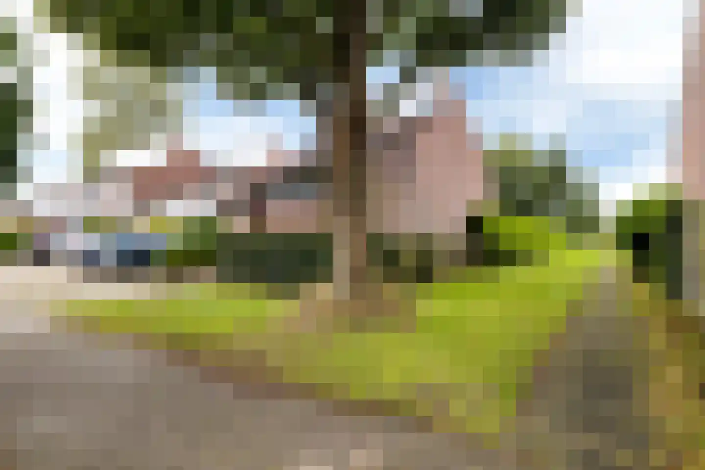 Zwenkgras 24 Leeuwarden thumbnail 41