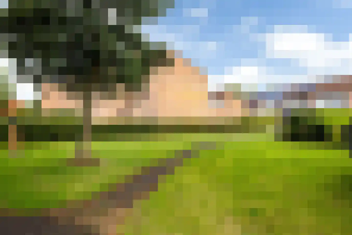 Zwenkgras 24 Leeuwarden thumbnail 43