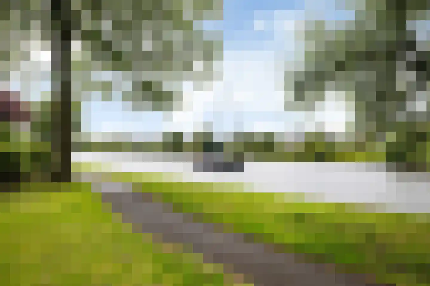 Zwenkgras 24 Leeuwarden thumbnail 45