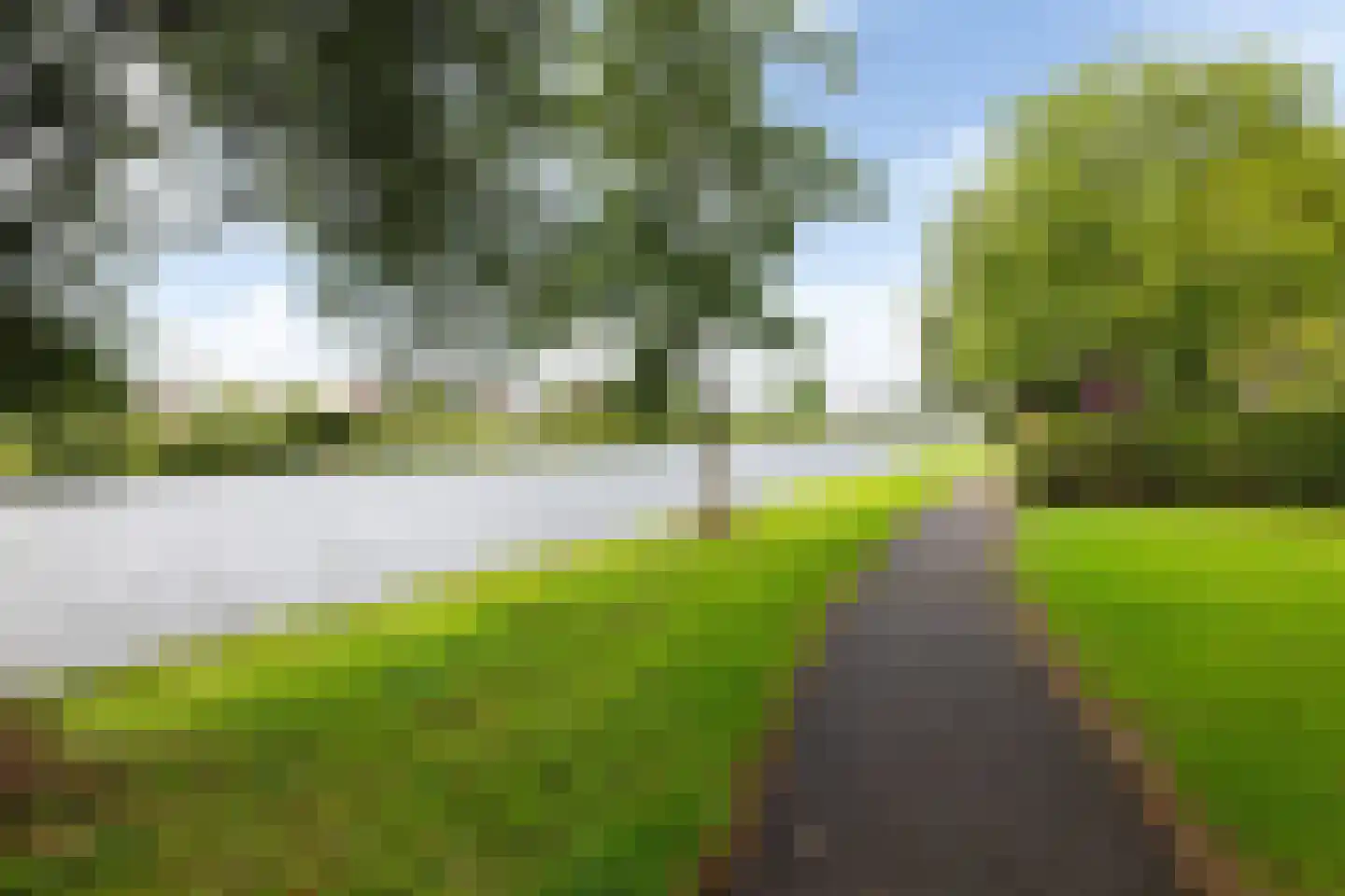 Zwenkgras 24 Leeuwarden thumbnail 46