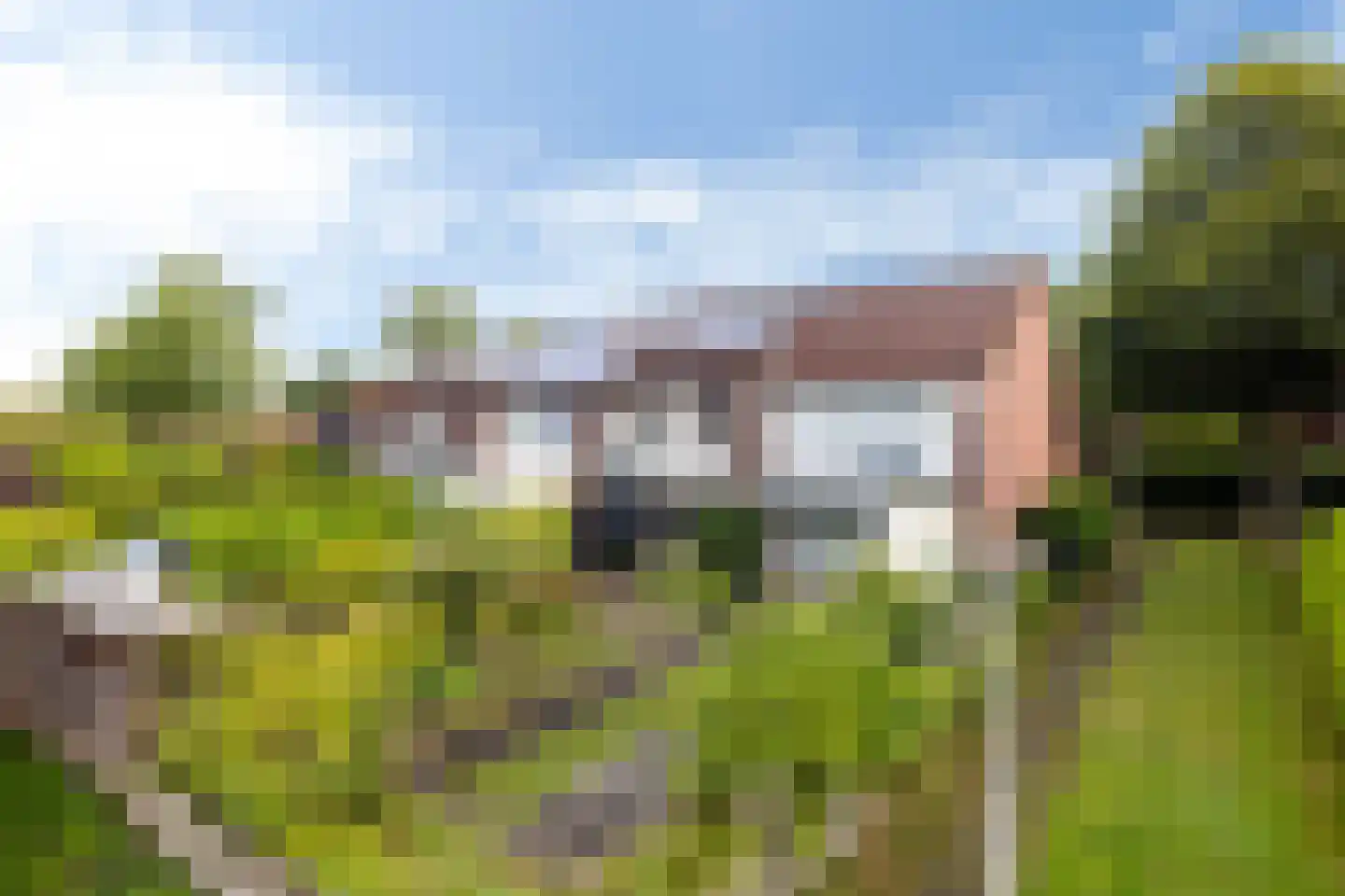 Zwenkgras 24 Leeuwarden thumbnail 5