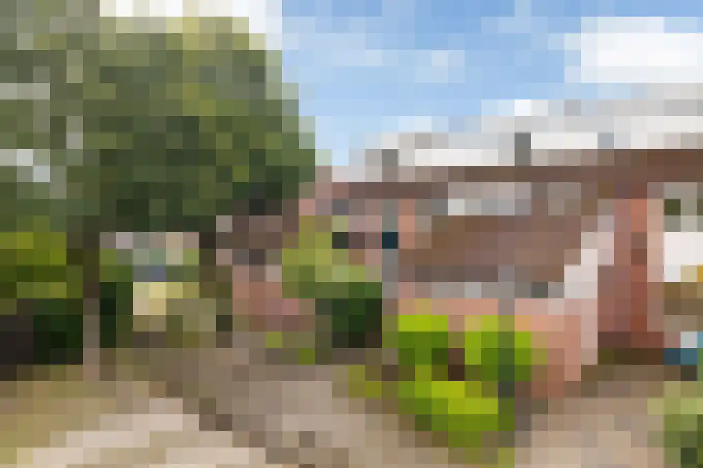 Zwenkgras 24 Leeuwarden thumbnail 6