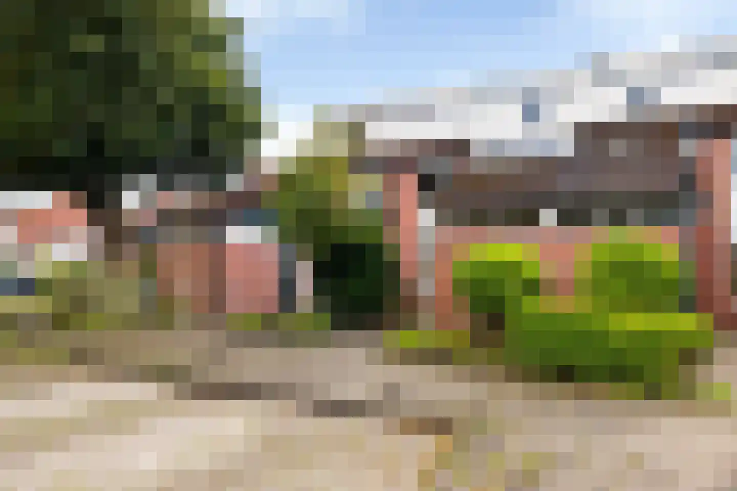 Zwenkgras 24 Leeuwarden thumbnail 7