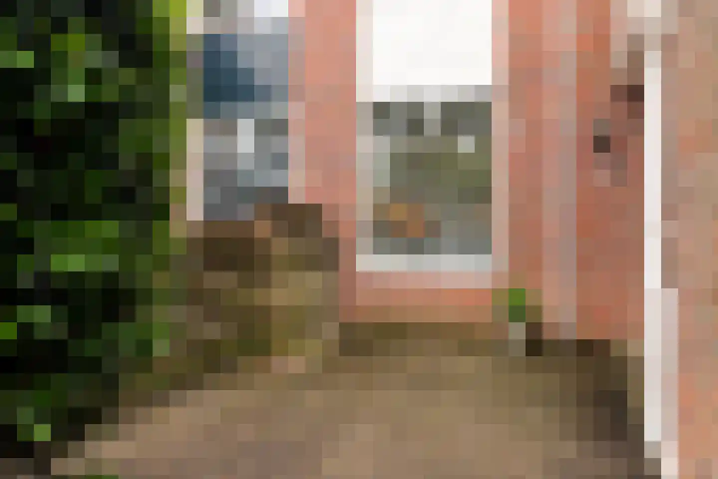 Zwenkgras 24 Leeuwarden thumbnail 8