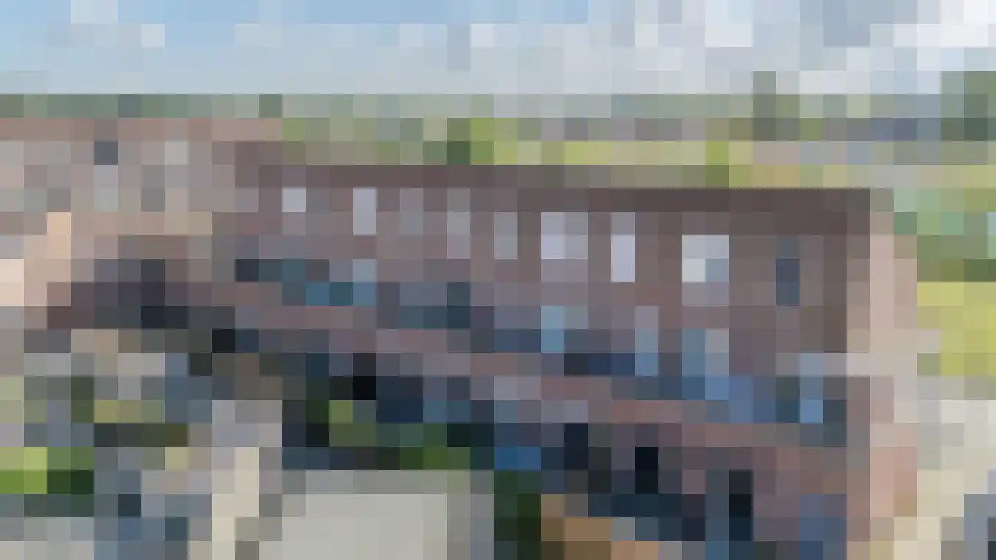 Zwenkgras 25 Katwijk thumbnail 10
