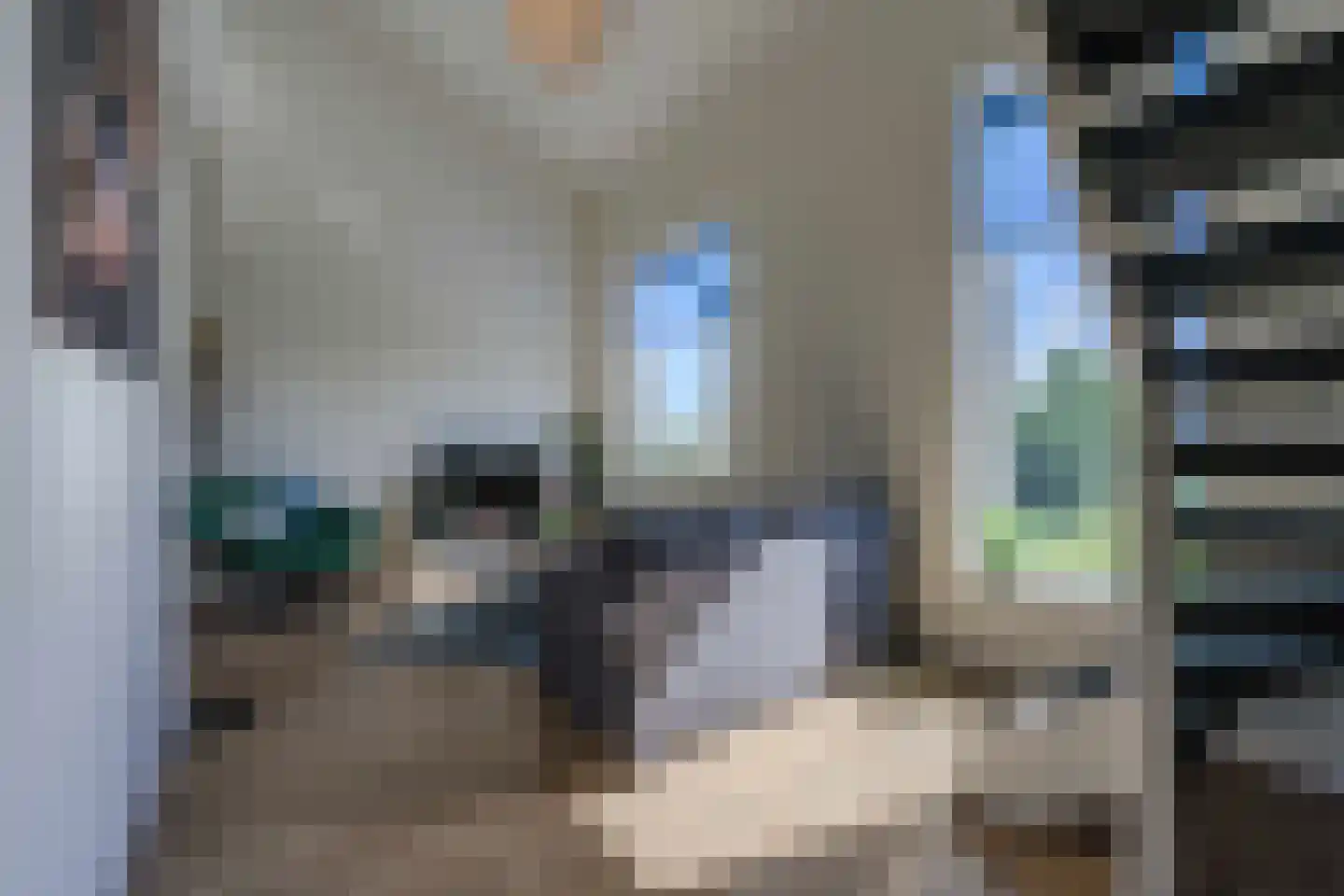 Zwenkgras 25 Katwijk thumbnail 13