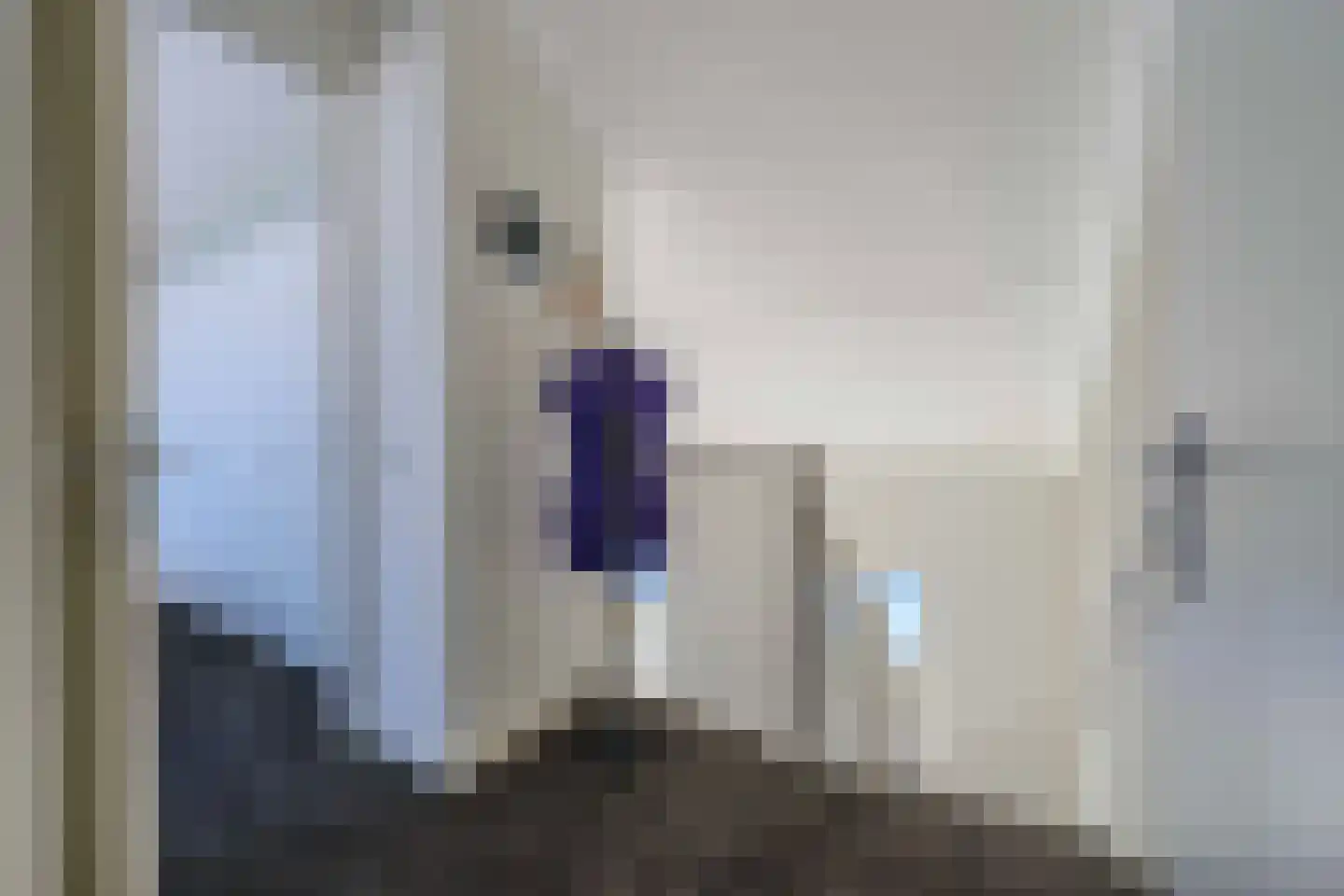 Zwenkgras 25 Katwijk thumbnail 26