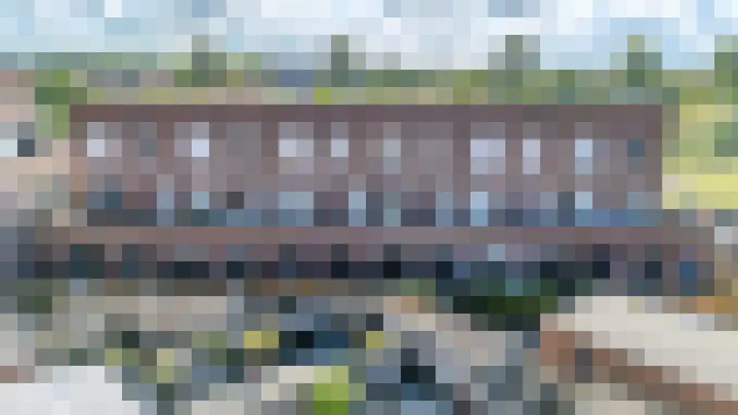 Zwenkgras 25 Katwijk thumbnail 36