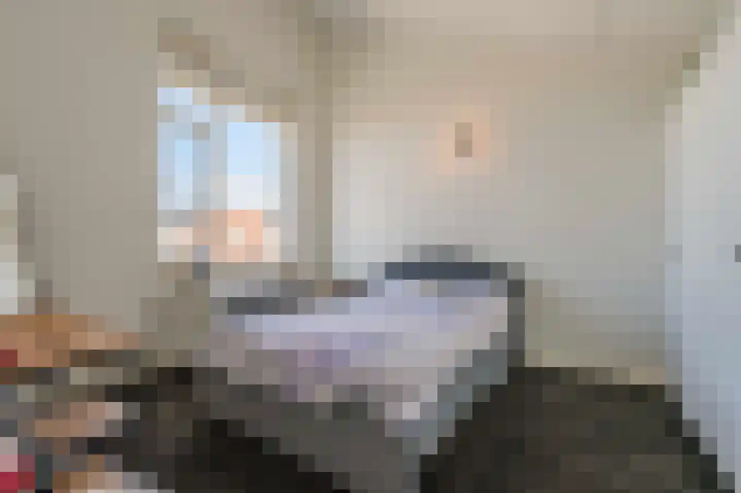Zwenkgras 25 Katwijk thumbnail 4