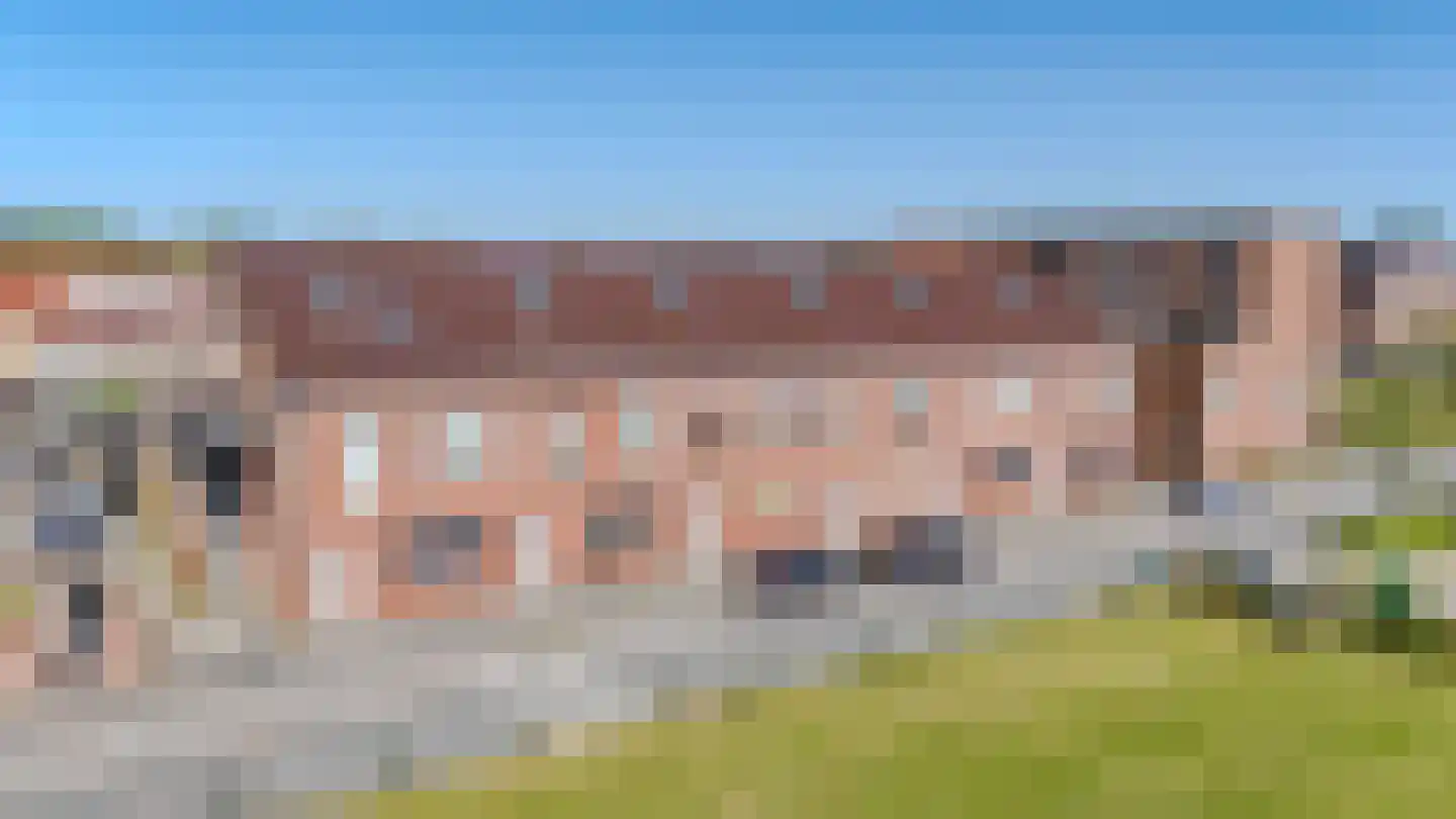 Zwenkgras 25 Katwijk thumbnail 6