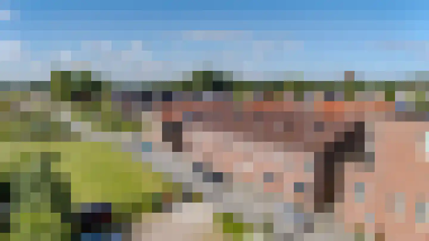 Zwenkgras 25 Katwijk thumbnail 8