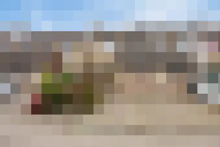 Zwenkgras 33 dans Gouda