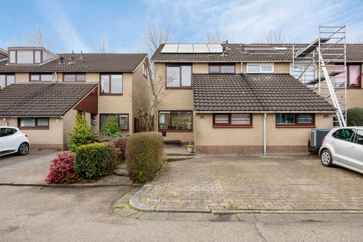 Zwenkgras 33 in Gouda