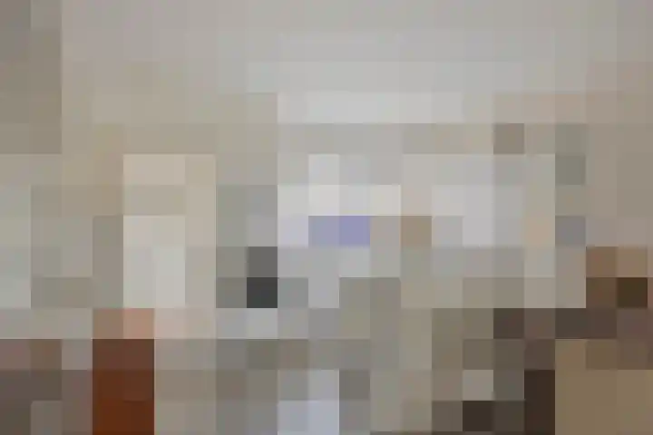 Zwenkgras 33 Gouda thumbnail 11