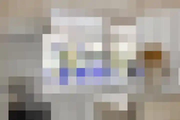 Zwenkgras 33 Gouda thumbnail 12