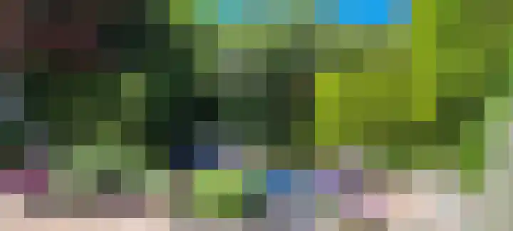 Zwenkgras 33 Gouda thumbnail 20