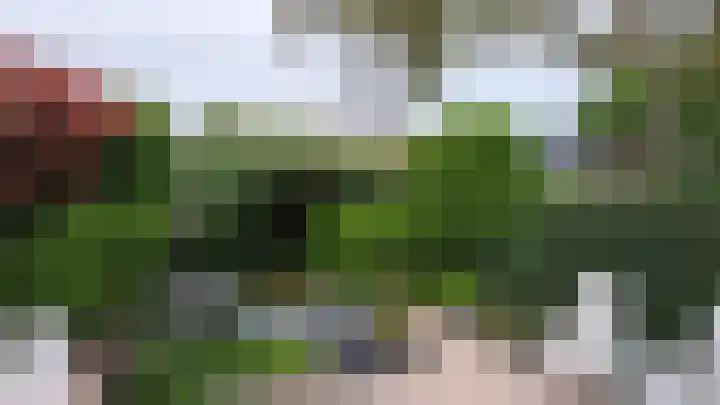 Zwenkgras 33 Gouda thumbnail 21