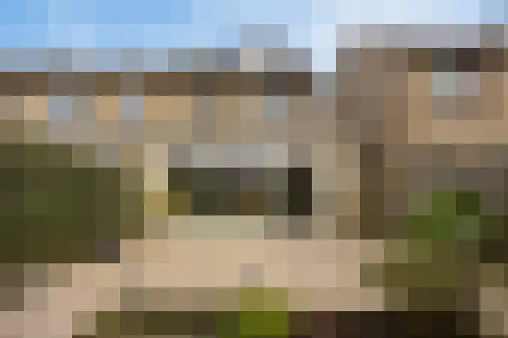 Zwenkgras 33 Gouda thumbnail 23