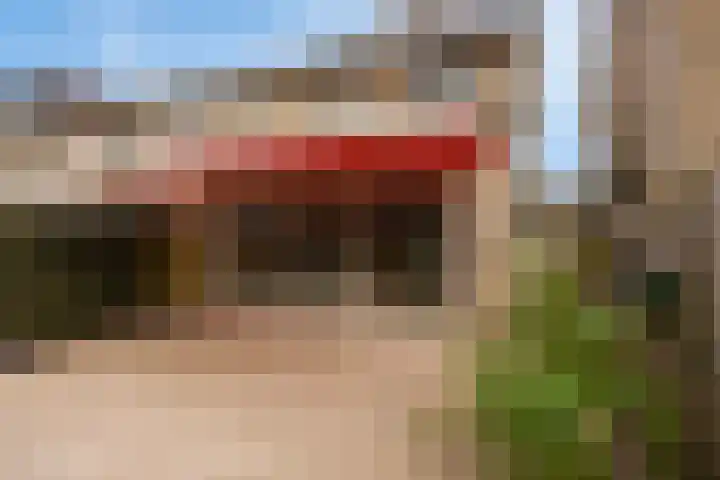 Zwenkgras 33 Gouda thumbnail 24