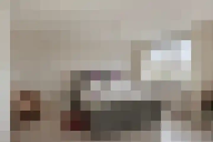 Zwenkgras 33 Gouda thumbnail 27