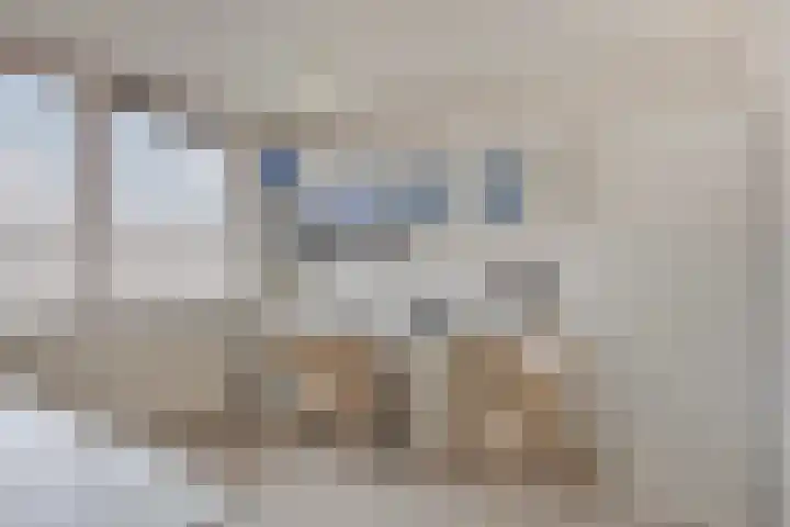 Zwenkgras 33 Gouda thumbnail 29