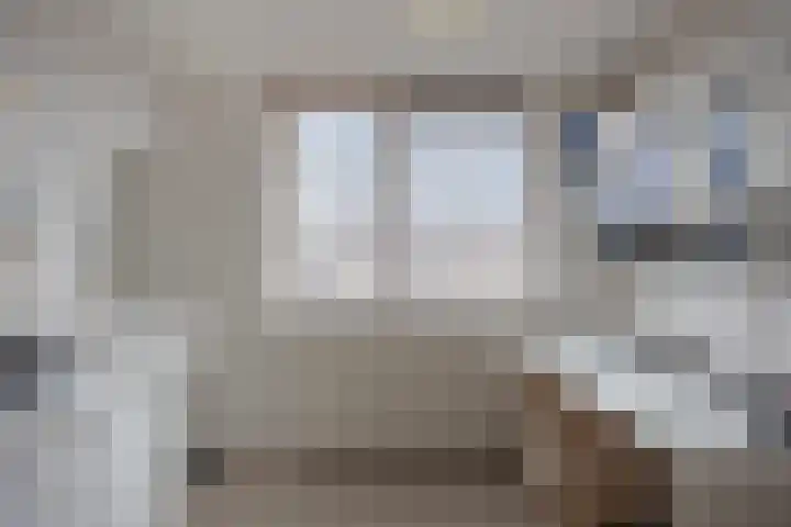 Zwenkgras 33 Gouda thumbnail 30