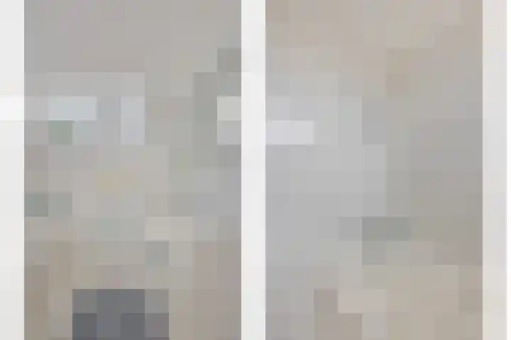 Zwenkgras 33 Gouda thumbnail 31