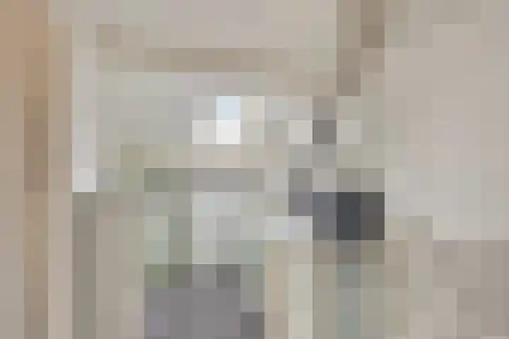 Zwenkgras 33 Gouda thumbnail 34