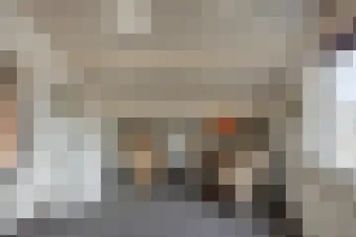 Zwenkgras 33 Gouda thumbnail 37