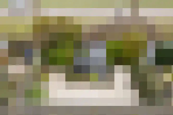 Zwenkgras 33 Gouda thumbnail 38