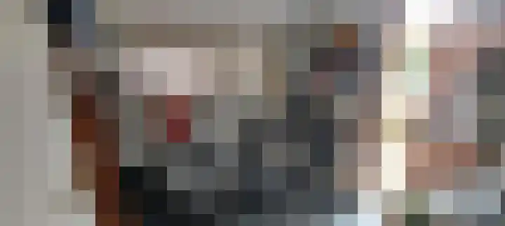 Zwenkgras 33 Gouda thumbnail 39