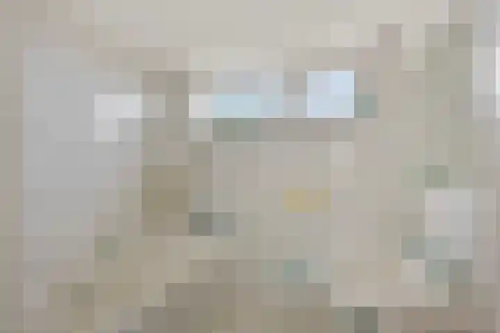 Zwenkgras 33 Gouda thumbnail 4