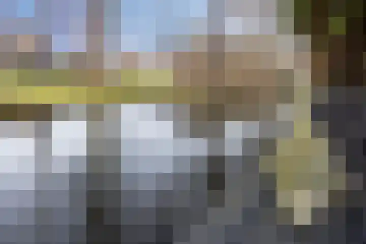 Zwenkgras 33 Gouda thumbnail 42