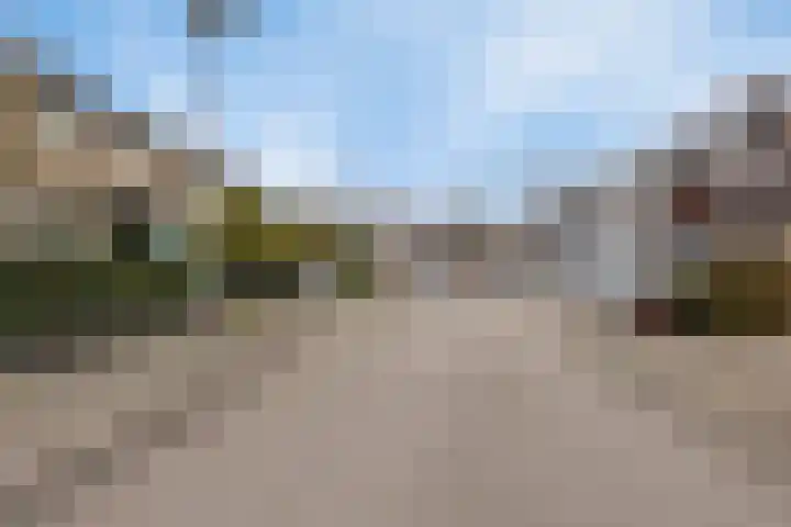 Zwenkgras 33 Gouda thumbnail 44