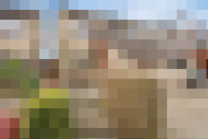 Zwenkgras 33 Gouda thumbnail 7
