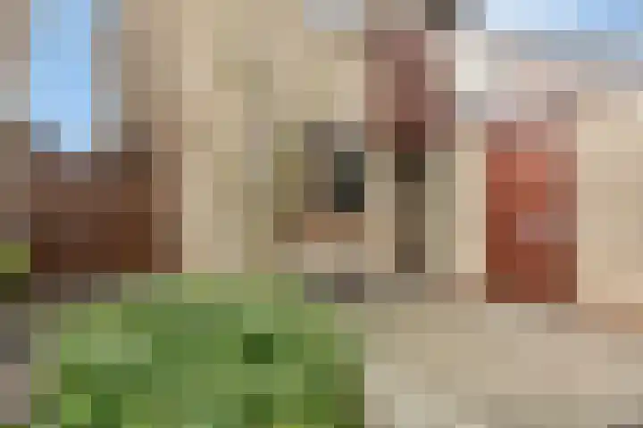 Zwenkgras 33 Gouda thumbnail 8