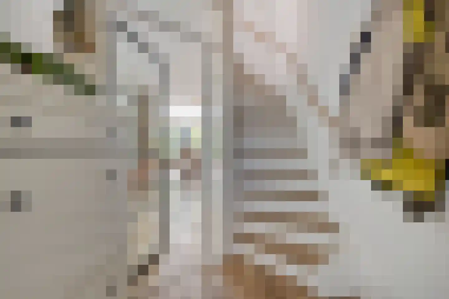Zwenkgras 4 Malden thumbnail 13