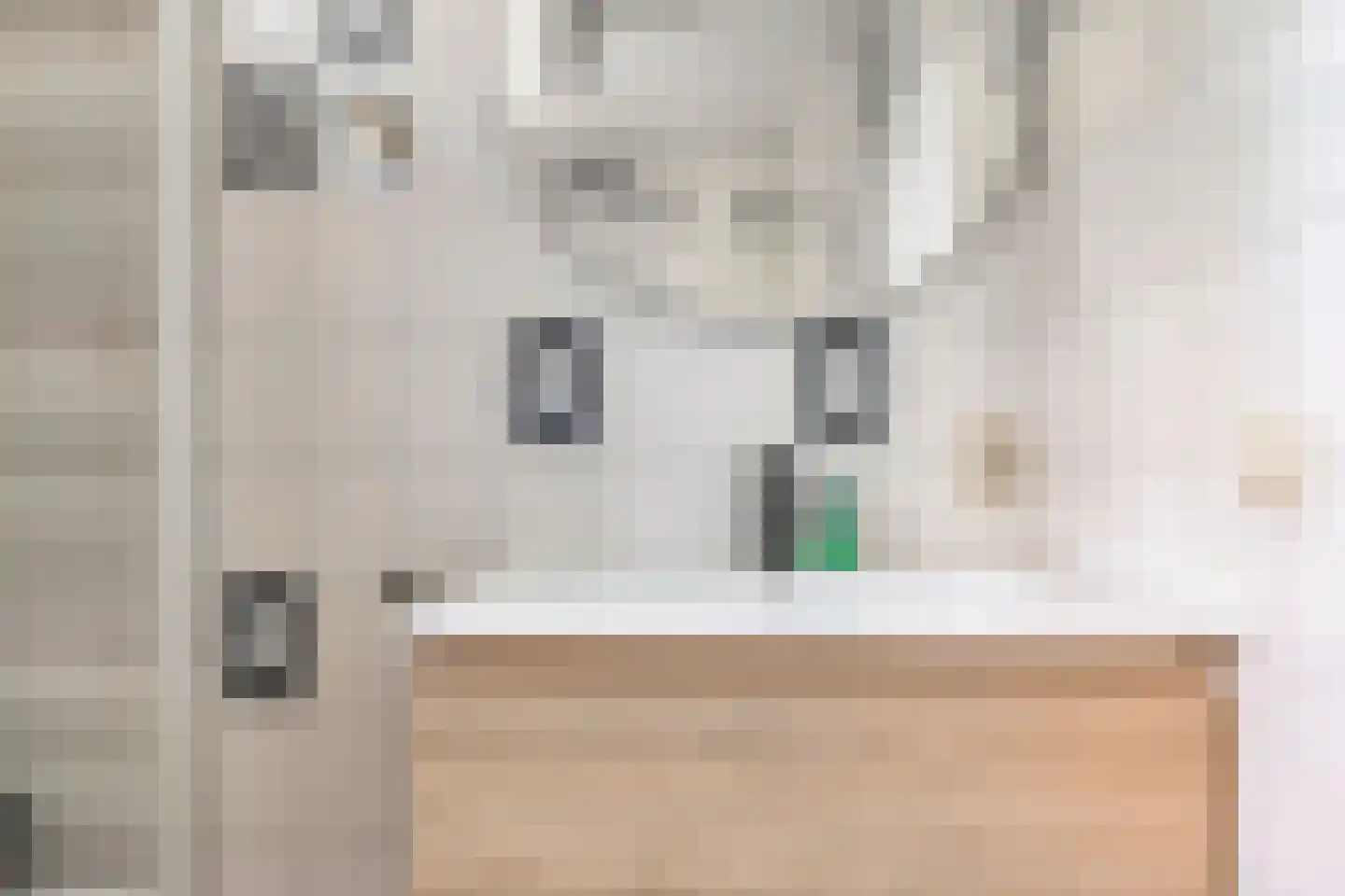 Zwenkgras 4 Malden thumbnail 23