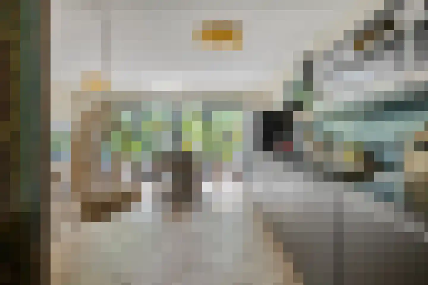 Zwenkgras 4 Malden foto 3