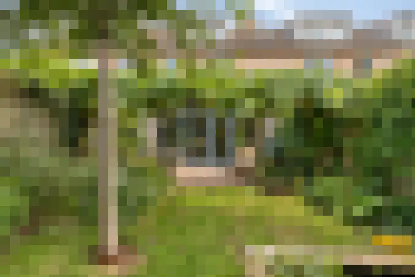 Zwenkgras 4 Malden thumbnail 32