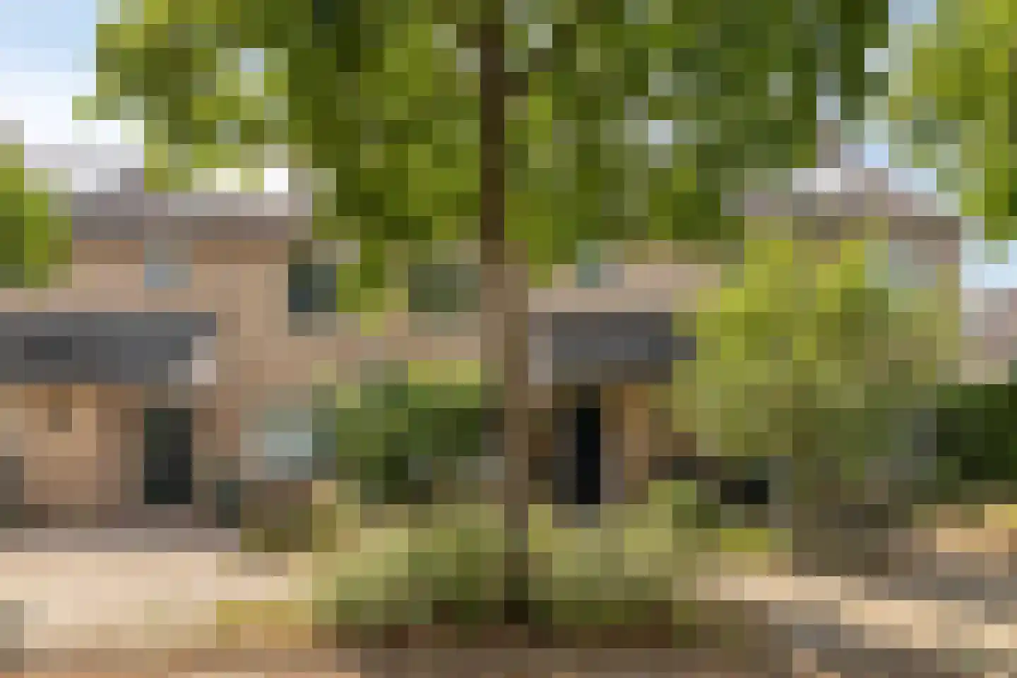 Zwenkgras 4 Malden thumbnail 34