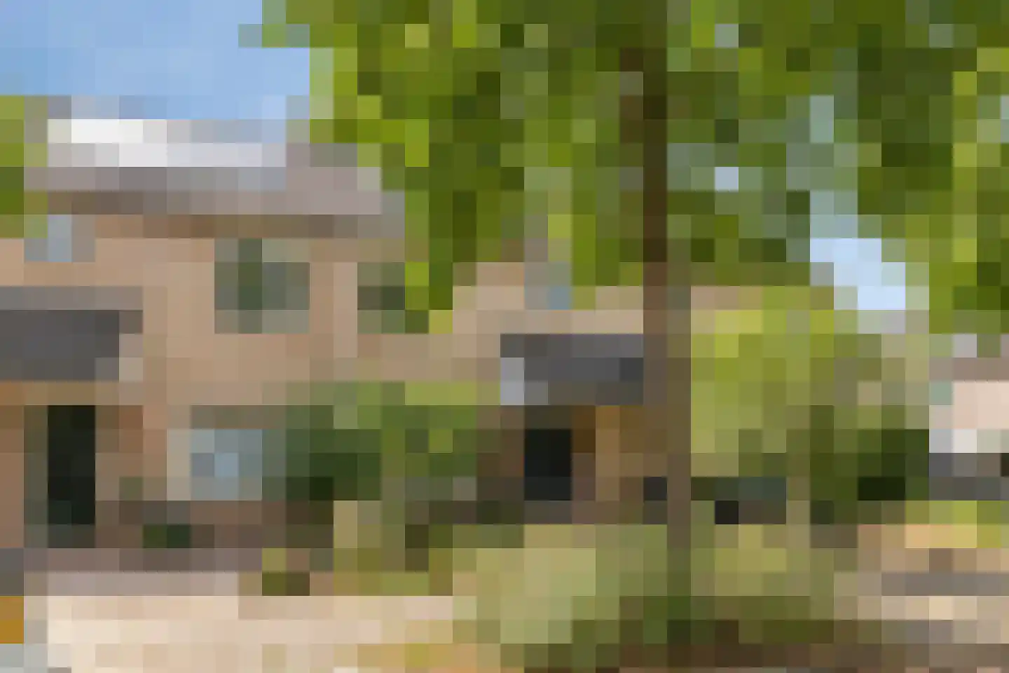 Zwenkgras 4 Malden thumbnail 35