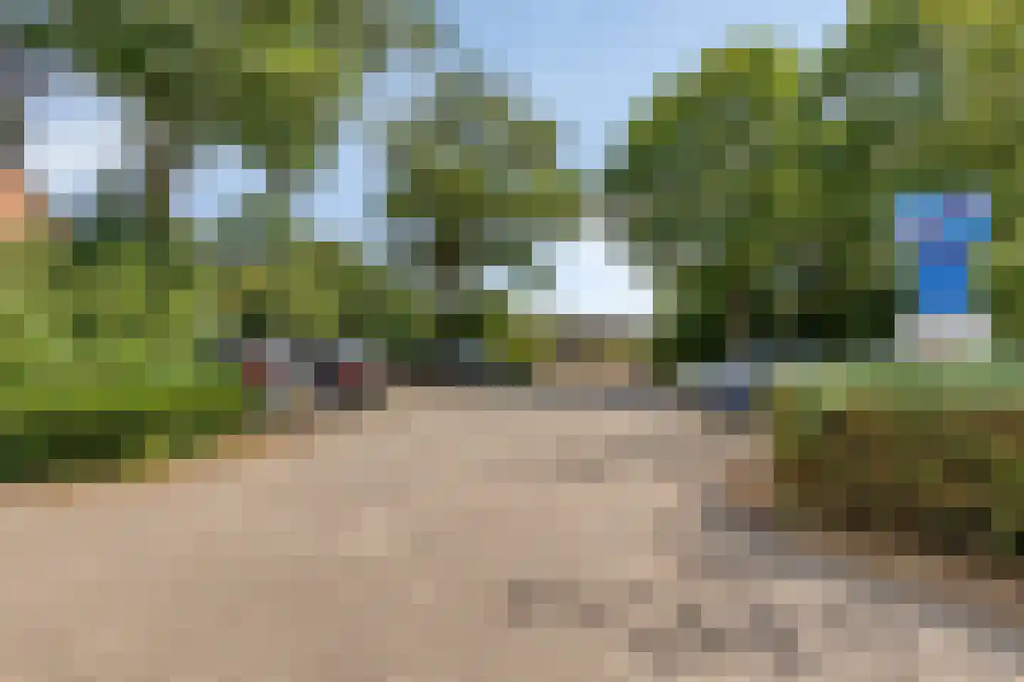 Zwenkgras 4 Malden thumbnail 37
