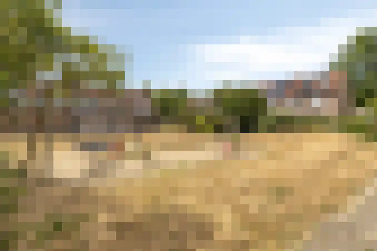 Zwenkgras 4 Malden thumbnail 40