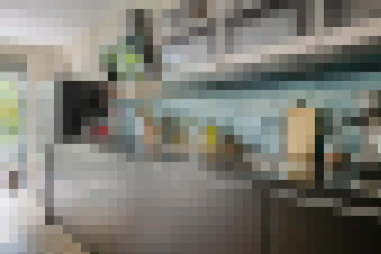 Zwenkgras 4 Malden thumbnail 7
